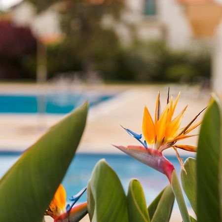 Sunny Getaway In Funchal Apartment Exterior photo