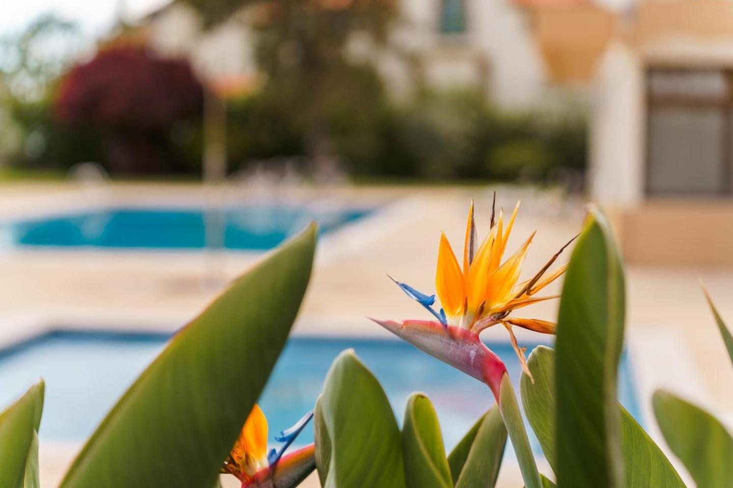 Sunny Getaway In Funchal Apartment Exterior photo